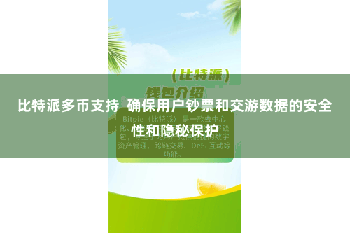 比特派多币支持  确保用户钞票和交游数据的安全性和隐秘保护