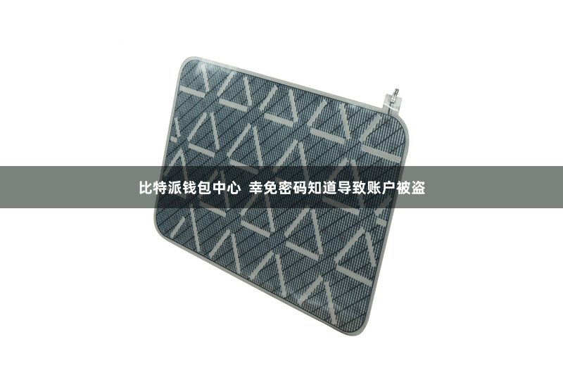 比特派钱包中心  幸免密码知道导致账户被盗